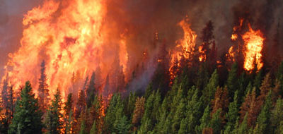 Modeling Forest Fires in Montesinho Natural Park